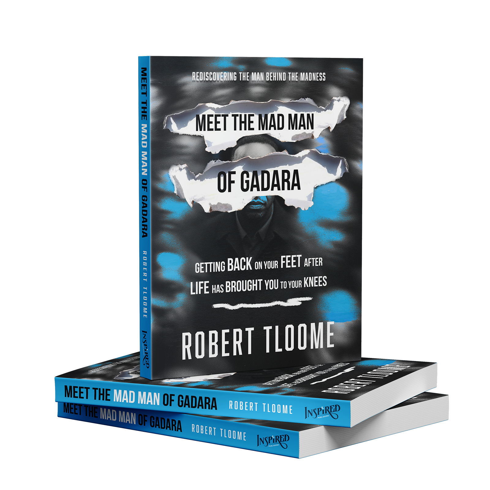 Meet the Mad Man of Gadara by Robert Tloome